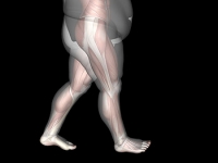 The Impact of Weight on Foot Health and Size